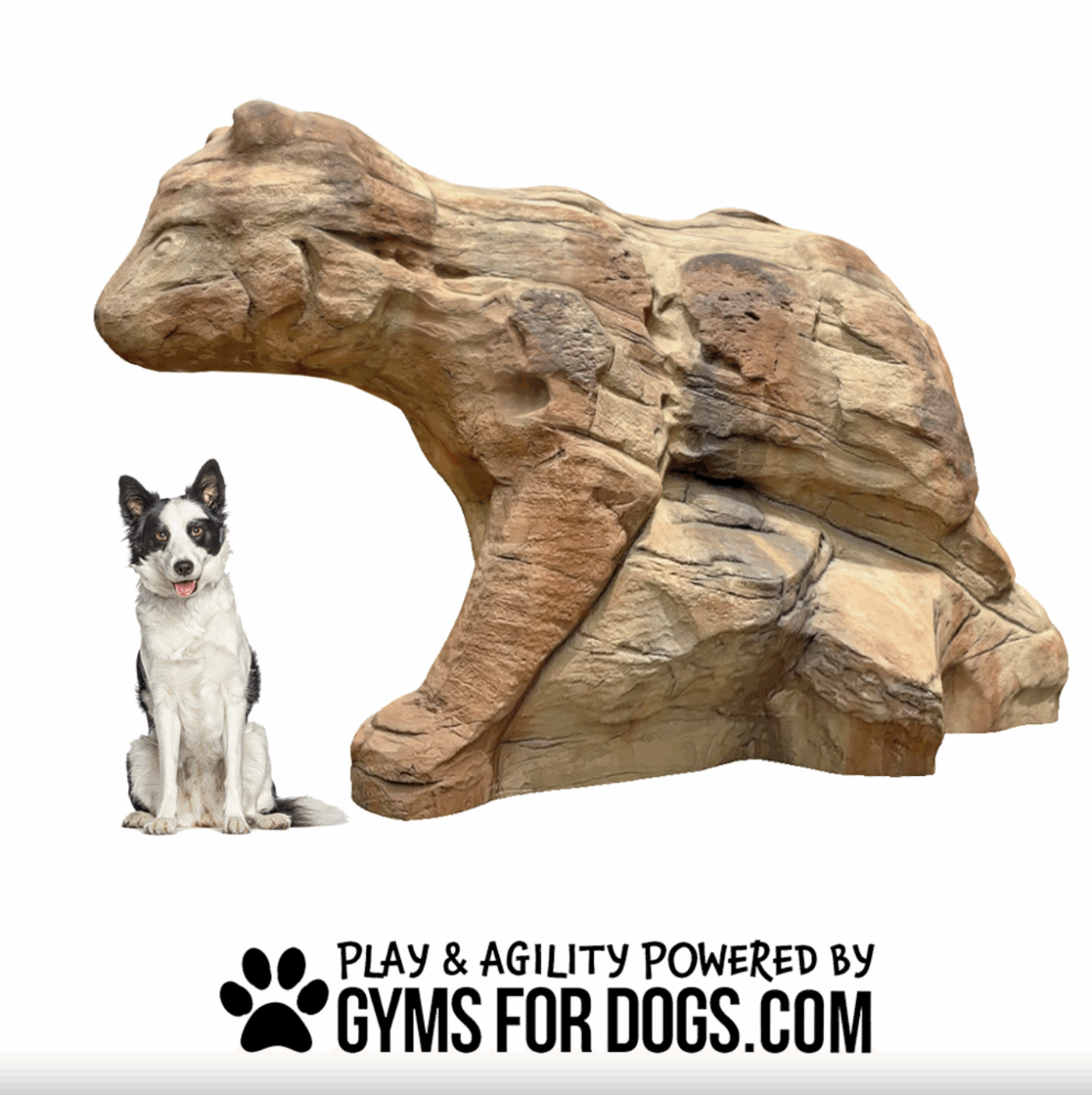 A black and white dog sits next to a large, bear-shaped climbing structure made of rock. Below them is the text: "Play & agility powered by GymsForDogs.com" with a paw print icon.